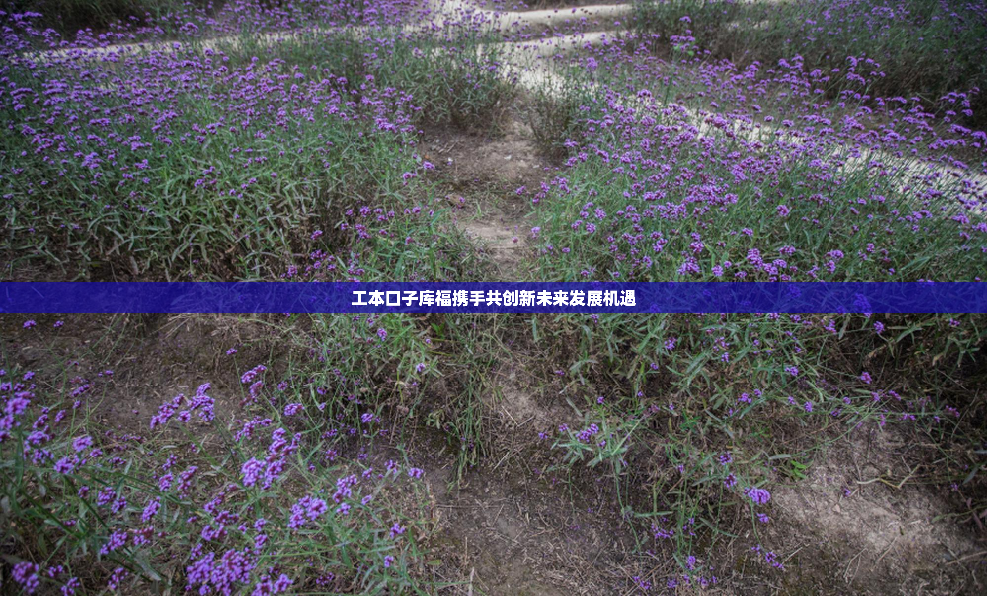 工本口子库福携手共创新未来发展机遇