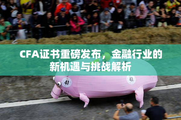 CFA证书重磅发布，金融行业的新机遇与挑战解析