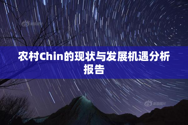 农村Chin的现状与发展机遇分析报告