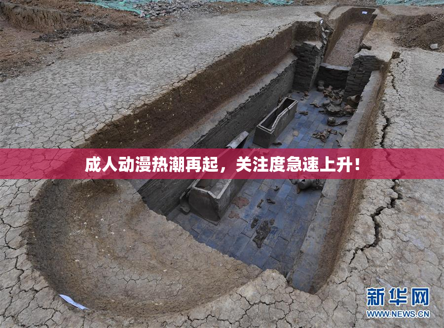 成人动漫热潮再起，关注度急速上升！