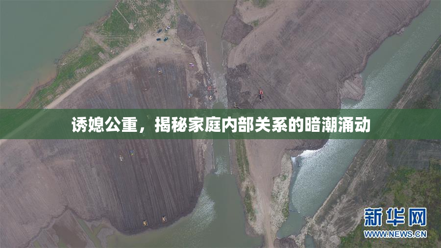 诱媳公重，揭秘家庭内部关系的暗潮涌动