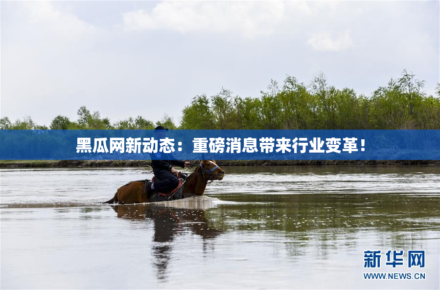 黑瓜网新动态：重磅消息带来行业变革！