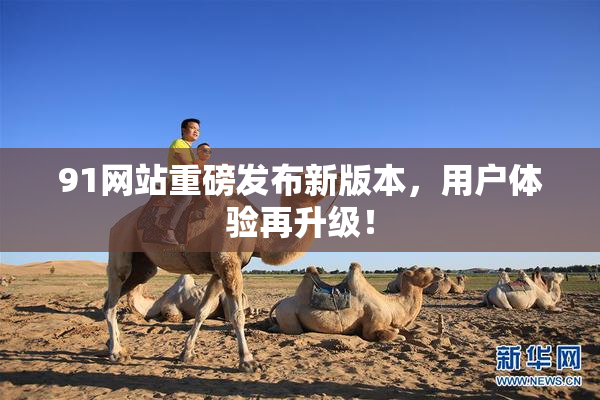 91网站重磅发布新版本，用户体验再升级！