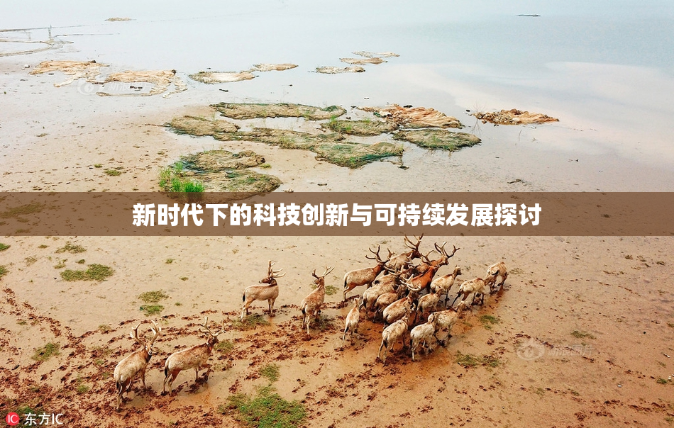 新时代下的科技创新与可持续发展探讨