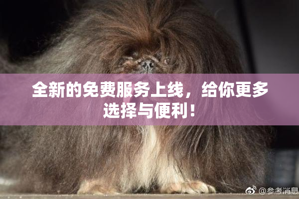 全新的免费服务上线，给你更多选择与便利！