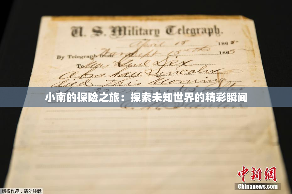 小南的探险之旅：探索未知世界的精彩瞬间