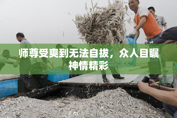师尊受爽到无法自拔，众人目瞩神情精彩