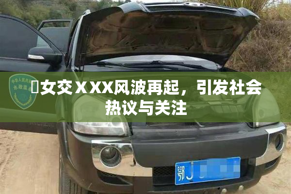 乣女交ⅩXX风波再起，引发社会热议与关注