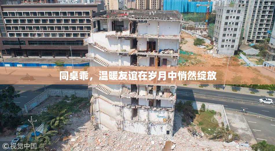 同桌乖，温暖友谊在岁月中悄然绽放