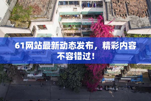 61网站最新动态发布，精彩内容不容错过！