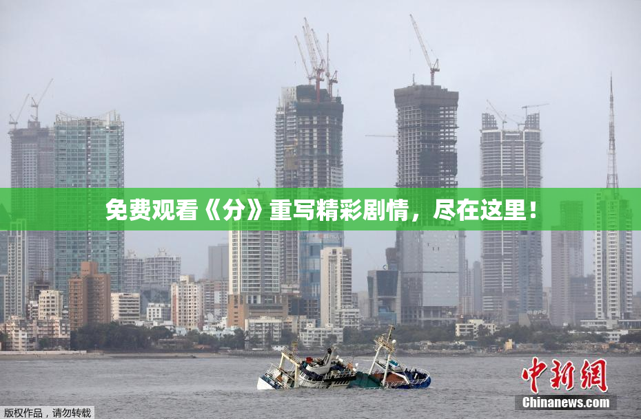 免费观看《分》重写精彩剧情，尽在这里！