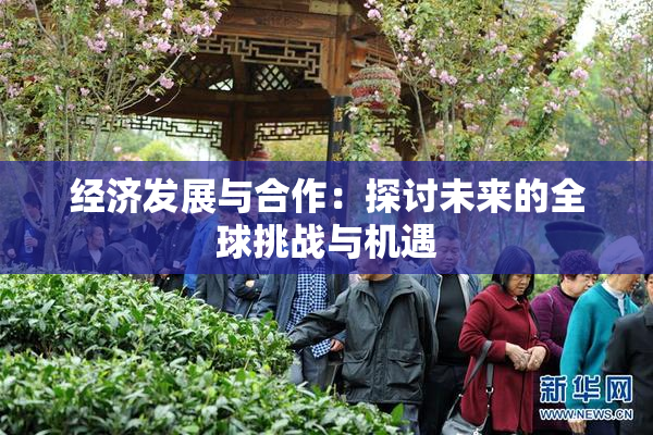 经济发展与合作：探讨未来的全球挑战与机遇