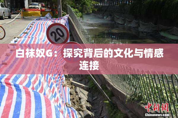 白袜奴G：探究背后的文化与情感连接