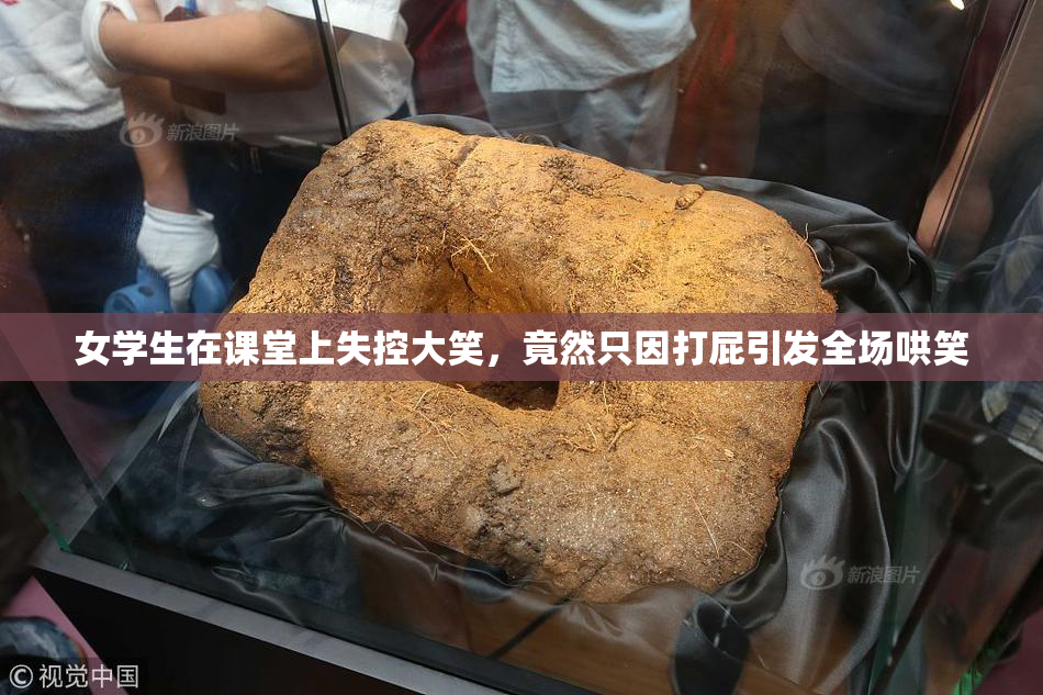 女学生在课堂上失控大笑，竟然只因打屁引发全场哄笑