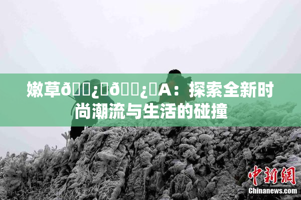 嫩草🌿‌🌿‌A：探索全新时尚潮流与生活的碰撞
