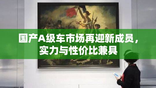 国产A级车市场再迎新成员，实力与性价比兼具