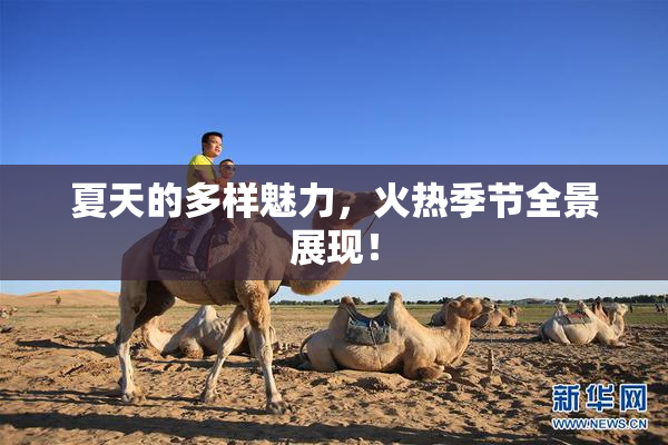 夏天的多样魅力，火热季节全景展现！