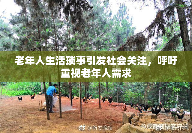 老年人生活琐事引发社会关注，呼吁重视老年人需求