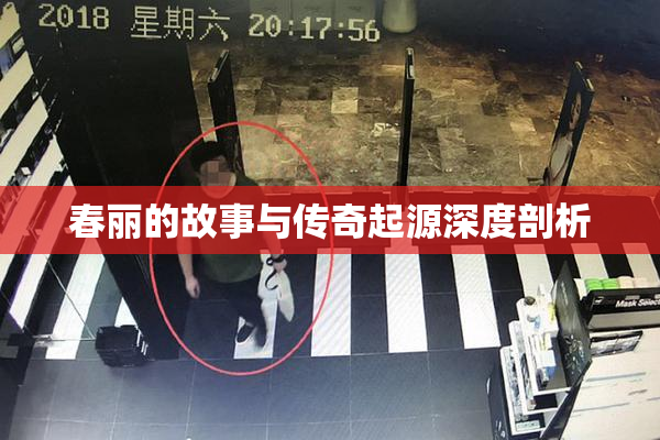 春丽的故事与传奇起源深度剖析
