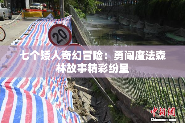 七个矮人奇幻冒险：勇闯魔法森林故事精彩纷呈