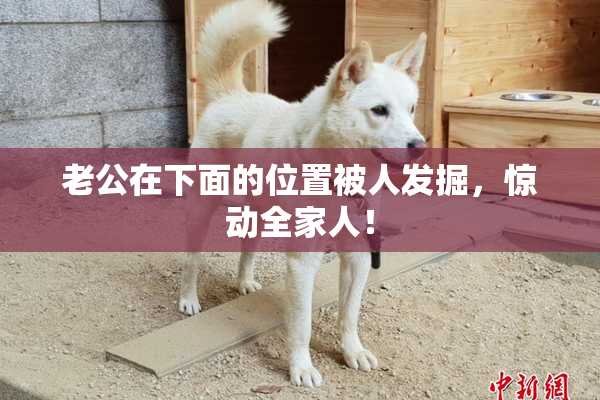 老公在下面的位置被人发掘，惊动全家人！