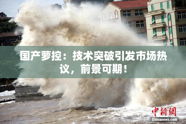 国产萝控：技术突破引发市场热议，前景可期！