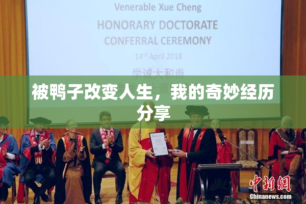 被鸭子改变人生，我的奇妙经历分享