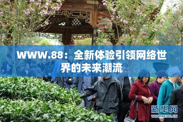 WWW.88：全新体验引领网络世界的未来潮流