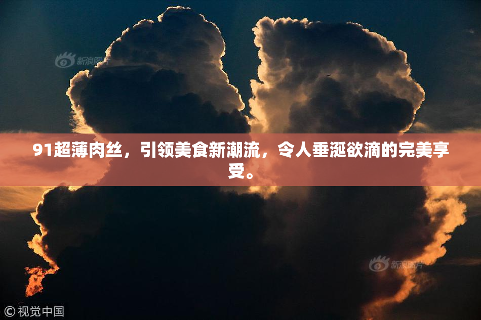91超薄肉丝，引领美食新潮流，令人垂涎欲滴的完美享受。