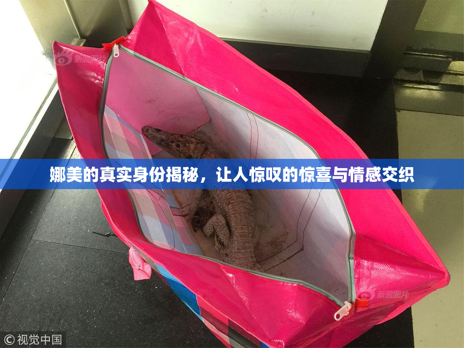 娜美的真实身份揭秘，让人惊叹的惊喜与情感交织