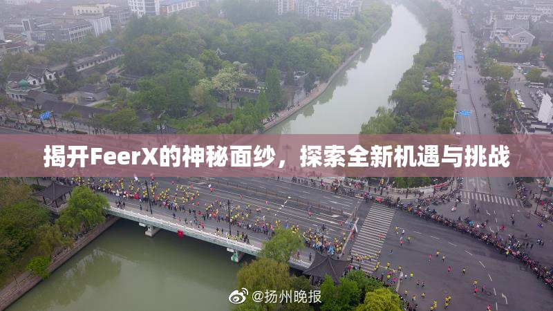 揭开FeerX的神秘面纱，探索全新机遇与挑战