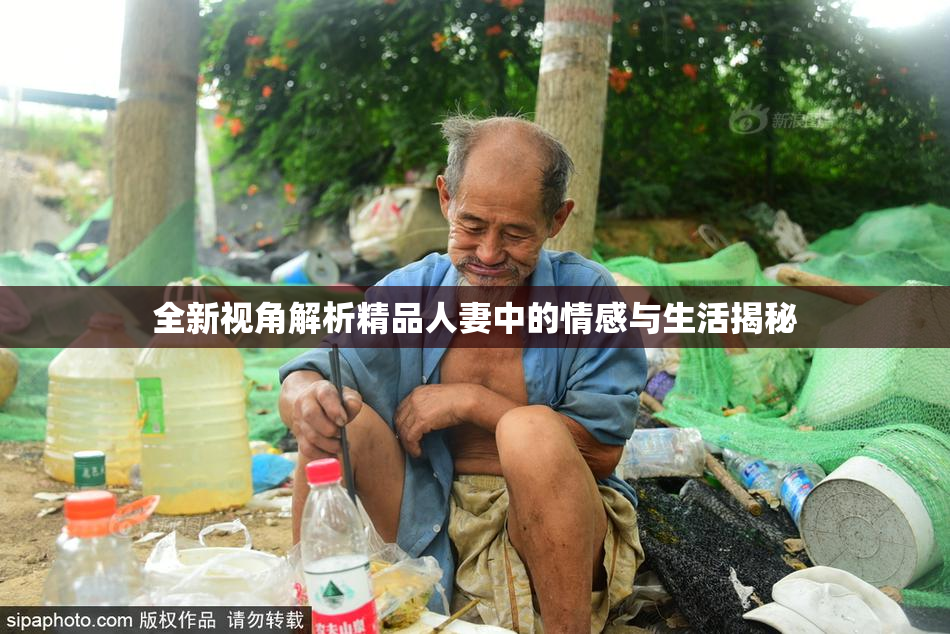 全新视角解析精品人妻中的情感与生活揭秘