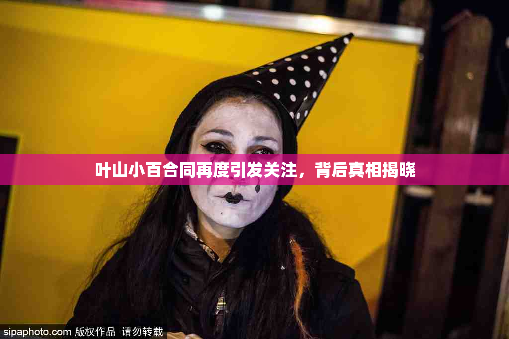 叶山小百合同再度引发关注，背后真相揭晓