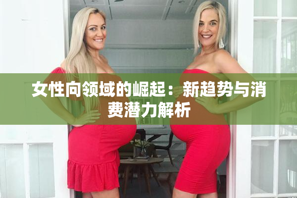 女性向领域的崛起：新趋势与消费潜力解析