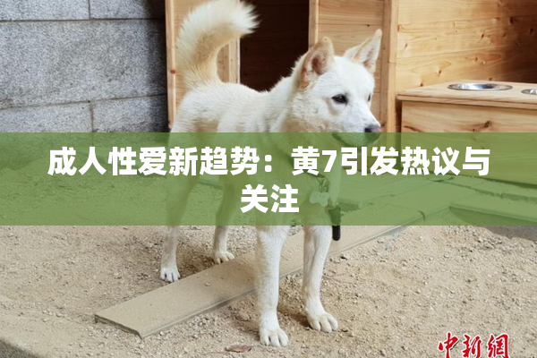 成人性爱新趋势：黄7引发热议与关注