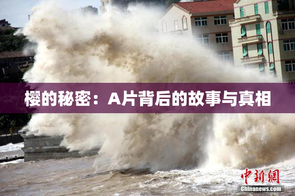 樱的秘密：A片背后的故事与真相
