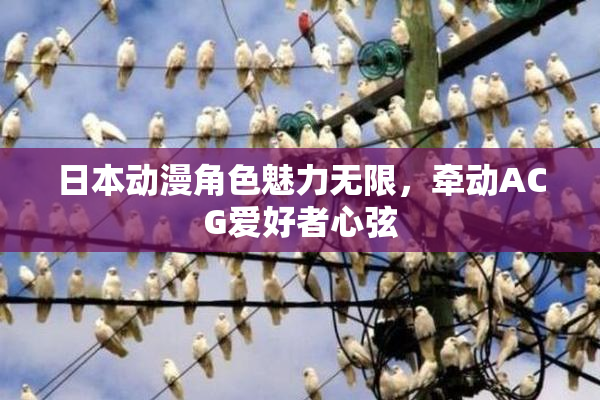 日本动漫角色魅力无限，牵动ACG爱好者心弦