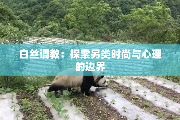 白丝调教：探索另类时尚与心理的边界
