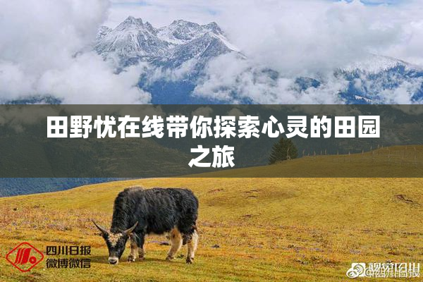 田野忧在线带你探索心灵的田园之旅