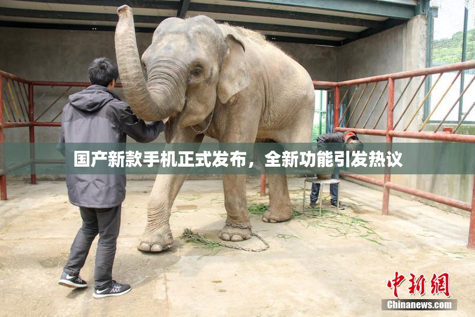 国产新款手机正式发布，全新功能引发热议
