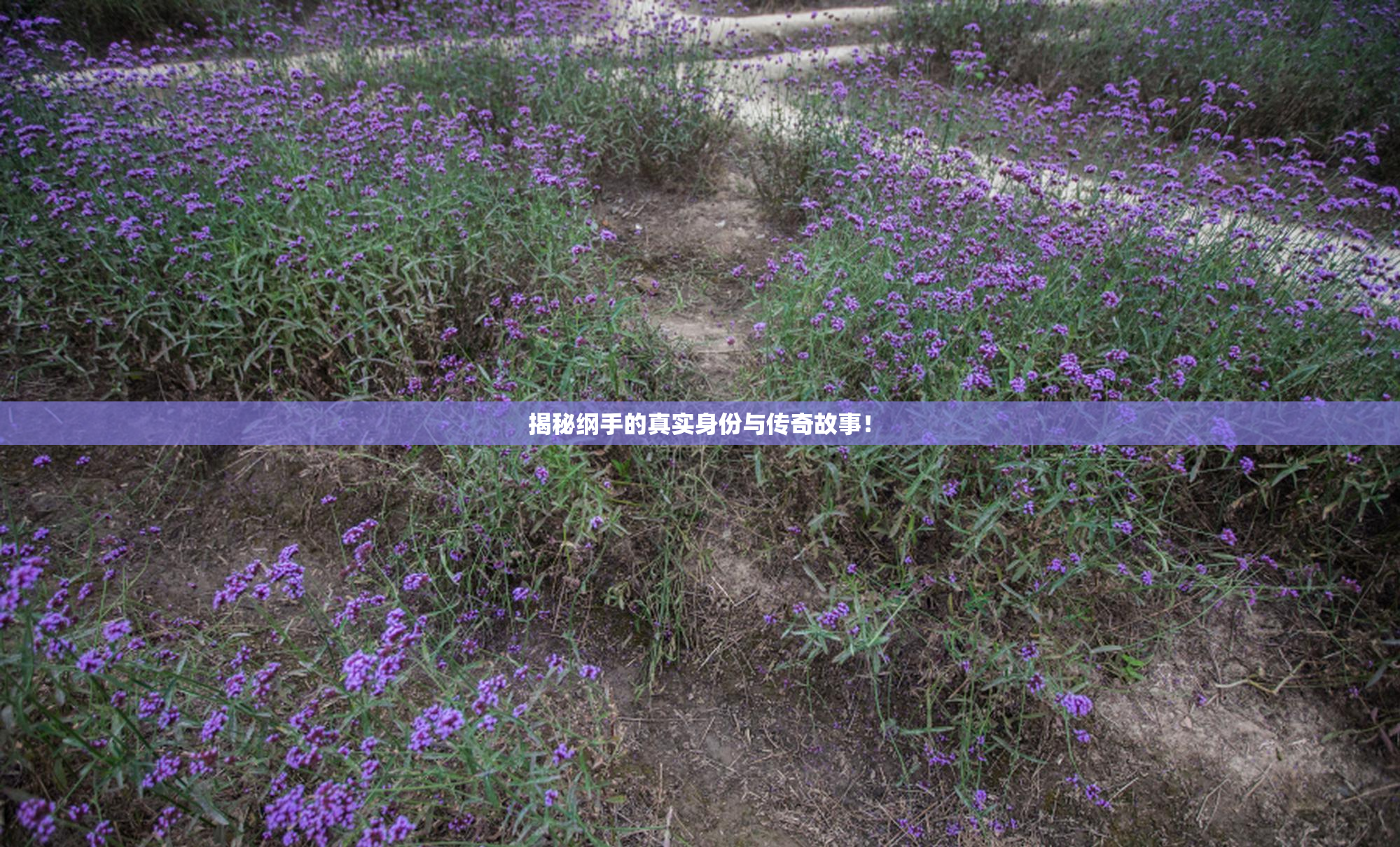 揭秘纲手的真实身份与传奇故事！