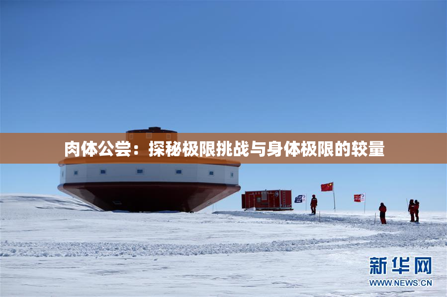肉体公尝：探秘极限挑战与身体极限的较量