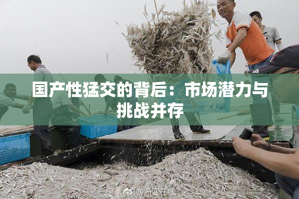 国产性猛交的背后：市场潜力与挑战并存