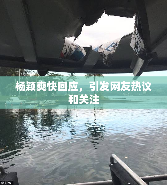 杨颖爽快回应，引发网友热议和关注