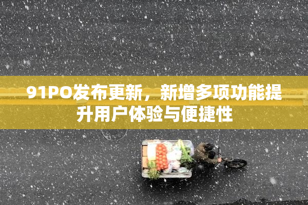 91PO发布更新，新增多项功能提升用户体验与便捷性