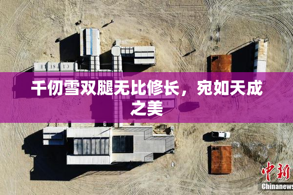 千仞雪双腿无比修长，宛如天成之美