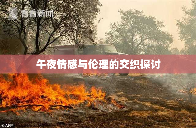 午夜情感与伦理的交织探讨