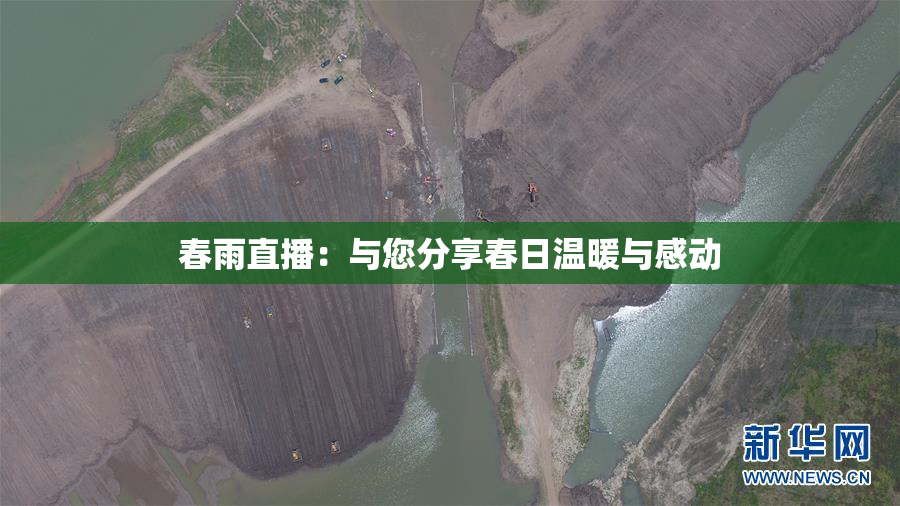 春雨直播：与您分享春日温暖与感动
