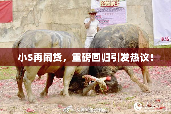 小S再闹货，重磅回归引发热议！