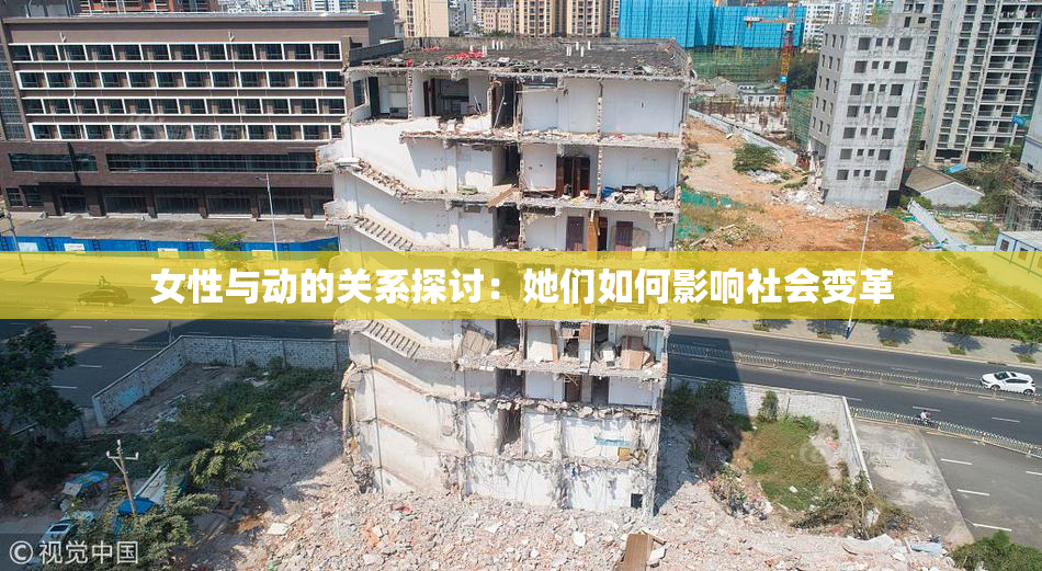 女性与动的关系探讨：她们如何影响社会变革